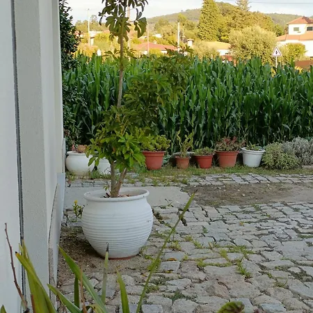Casa Do Rio * Freixieiro de Soutelo